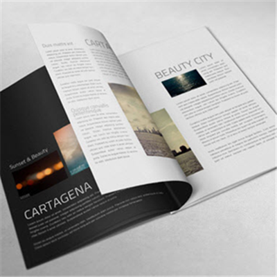 Revista