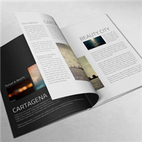 Revista